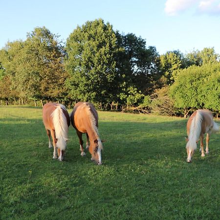 Les Grands Frenes Bed & Breakfast Plaine-de-Walsch ภายนอก รูปภาพ