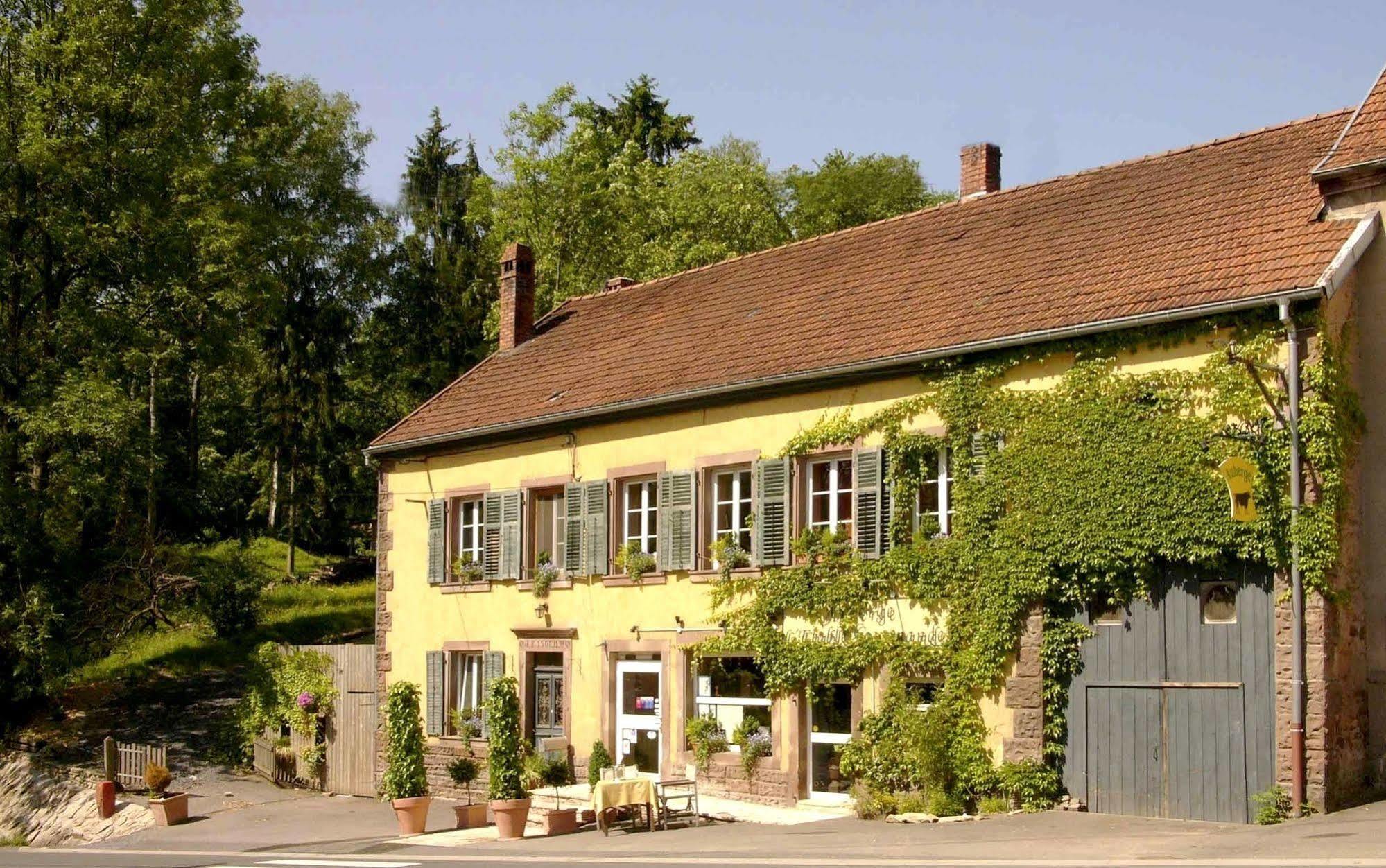 Les Grands Frenes Bed & Breakfast Plaine-de-Walsch ภายนอก รูปภาพ